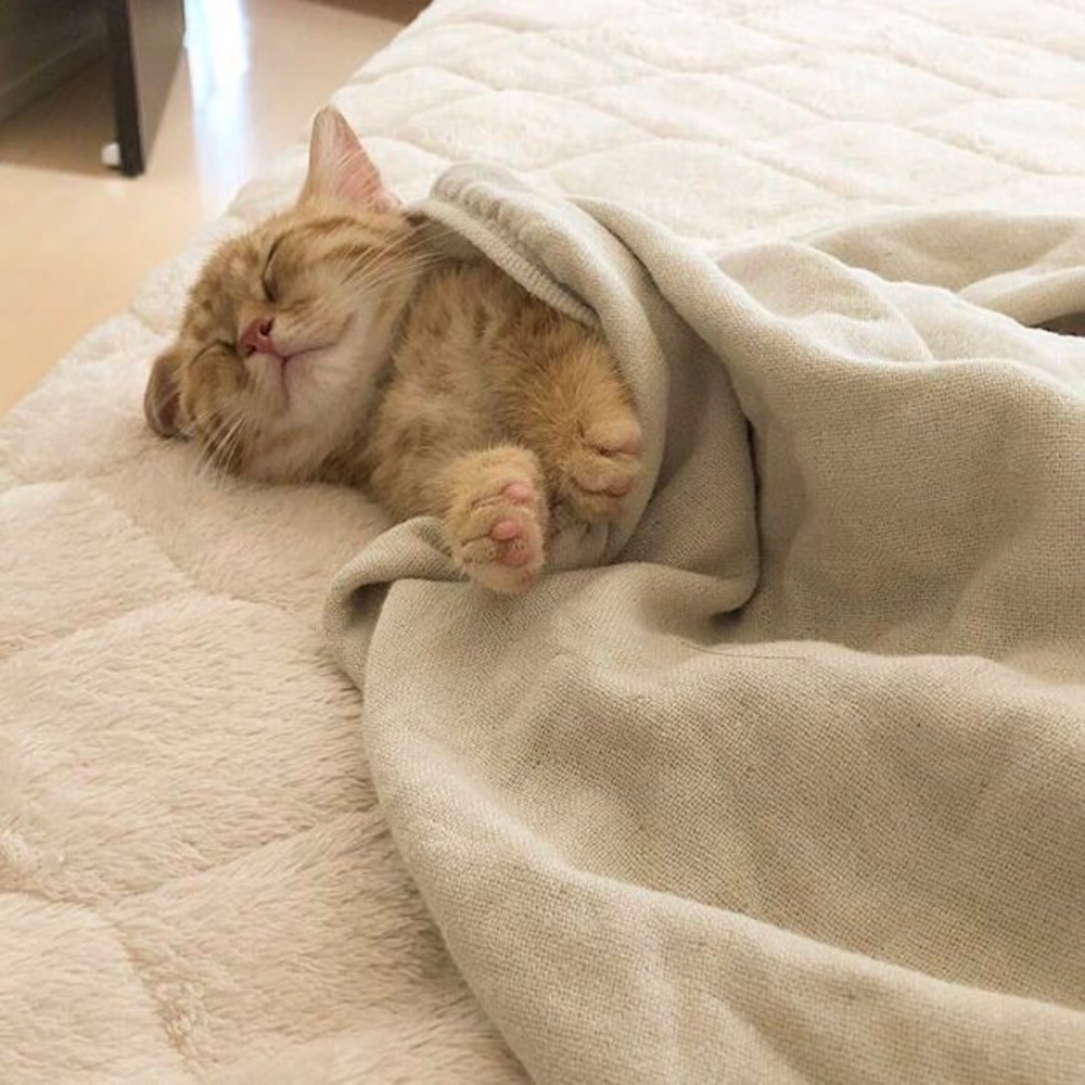 Meet your Posher, Estela